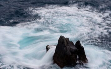 Kiedy ceny akcji rosną?