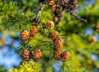 Jak pozbyć się złej energii od ludzi?