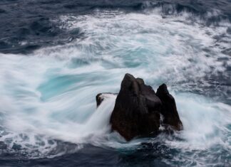 Czego ceny wzrosną?