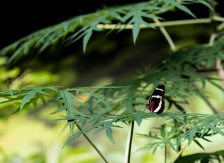 Jak sprawdzić sprawę w sądzie?