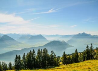 Czy komornik może zająć pieniądze z wygraną w Lotto?