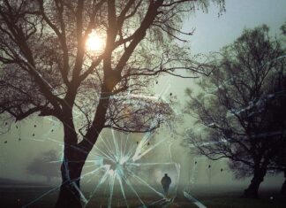 Czy podejrzany musi być na rozprawie?