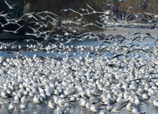 Czy Działki będą drożeć?