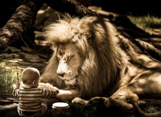 Jak się nie denerwować na ludzi?