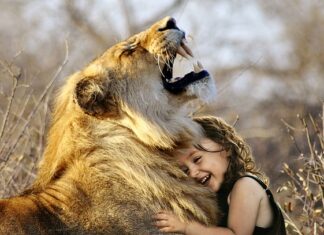 Jak wyłączyć w sobie emocje?