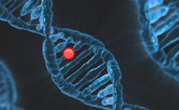 Czy garbaty nos jest dziedziczny?