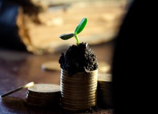 Czy opłaca się kupować akcję spółek z dywidenda?