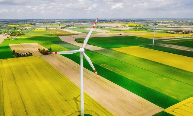 Co najlepiej uprawiać dla zysku?