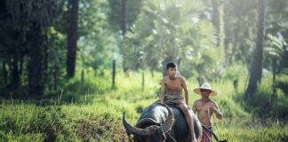 Jak zostać rolnikiem od zera?