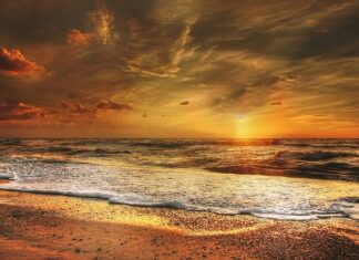 Czy można stracić na zlocie?