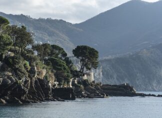 Ile kosztuje 1 metr sześcienny drewna?