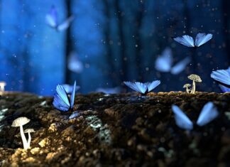 Czy drewno będzie drożeć?