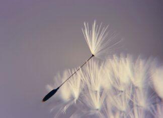 Jak znaleźć chęć do życia?